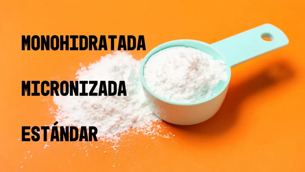 Creatina monohidratada micronizada vs. estándar
