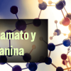 Glutamato