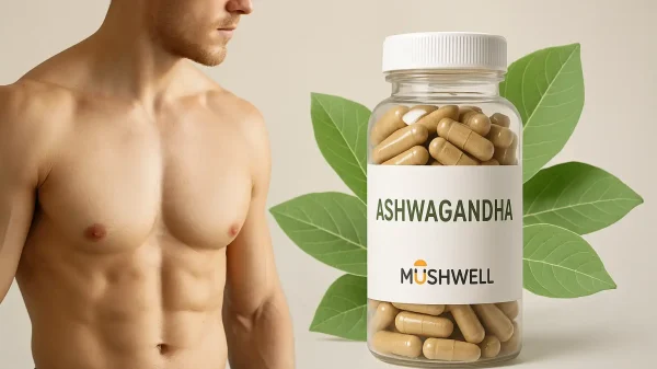 ashwagandha para hombres beneficios reales – Mushwell