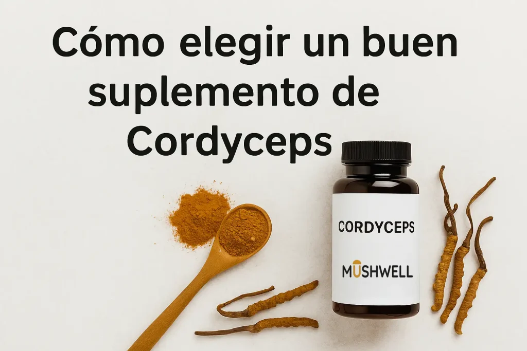 cordyceps-hongo-medicinal