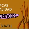 Cordyceps mejores marcas