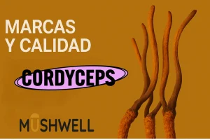 Cordyceps mejores marcas
