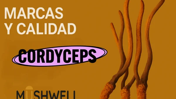 Cordyceps mejores marcas