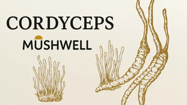 Cordyceps
