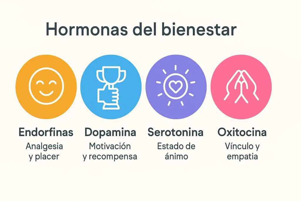 Las endorfinas trabajan en sinergia con otras hormonas del bienestar.