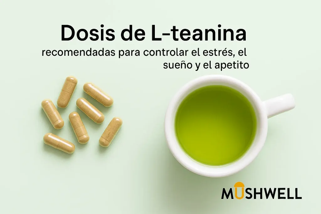 Dosis de L-teanina recomendadas para controlar el estrés, el sueño y el apetito
