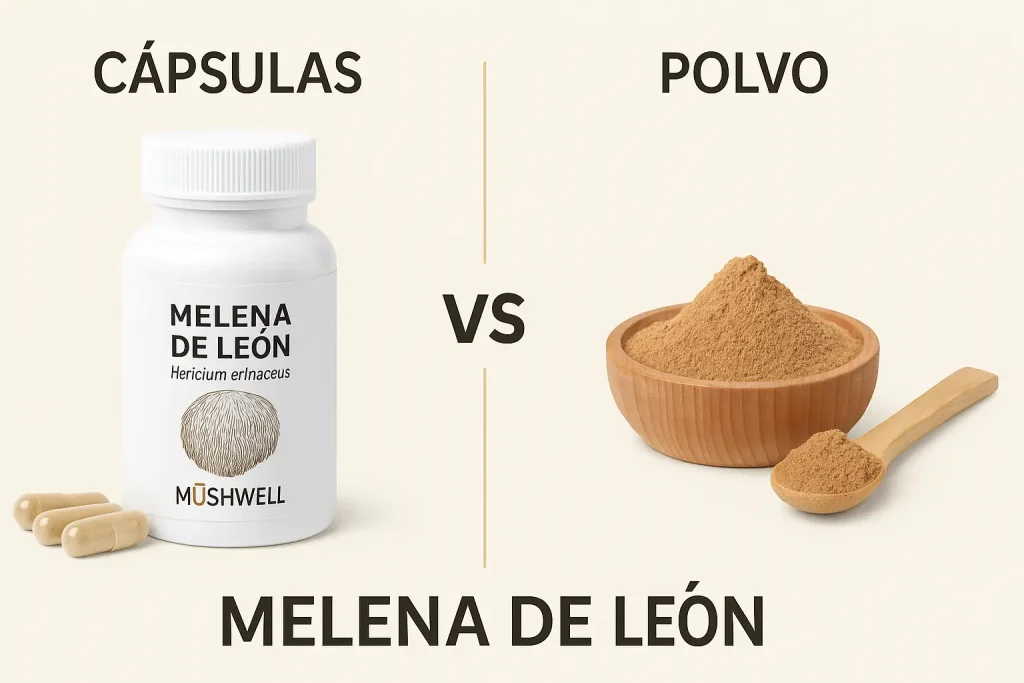 Melena de león en polvo y cápsulas formatos disponibles