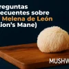 Melena de León