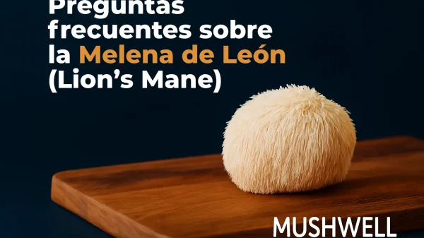 Melena de León