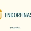 endorfinas