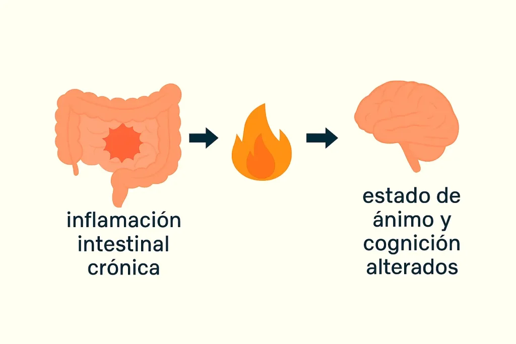 Gráfico que ilustra cómo la inflamación intestinal crónica puede desencadenar alteraciones en el estado de ánimo y la cognición