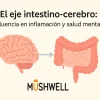 el eje intestino-cerebro