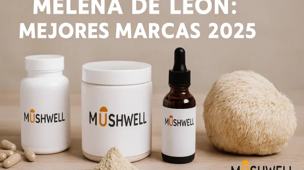 Suplementos de melena de león en cápsulas, polvo y extracto junto a hongo natural sobre fondo neutro.