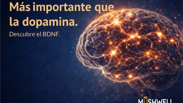 BDNF y neuroplasticidad en el cerebro humano representados de forma científica