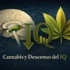 Cannabis y IQ: efectos a largo plazo en memoria y cerebro