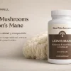 Real Mushrooms Lion’s Mane – Análisis Mushwell